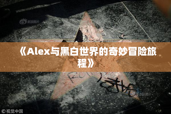 《Alex与黑白世界的奇妙冒险旅程》