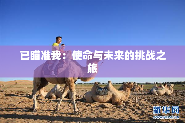 已瞄准我：使命与未来的挑战之旅