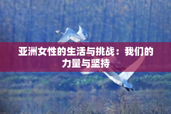 亚洲女性的生活与挑战：我们的力量与坚持