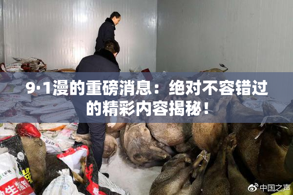 9·1漫的重磅消息：绝对不容错过的精彩内容揭秘！