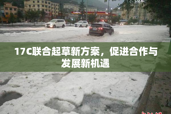 17C联合起草新方案，促进合作与发展新机遇