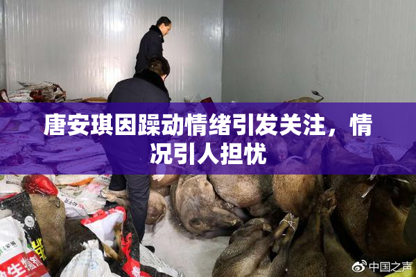 唐安琪因躁动情绪引发关注，情况引人担忧