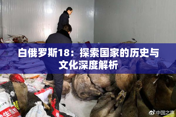 白俄罗斯18：探索国家的历史与文化深度解析