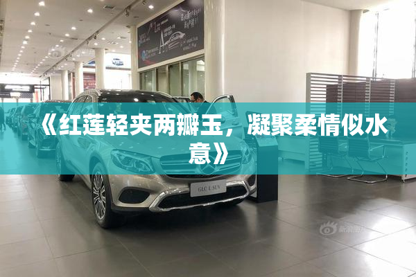《红莲轻夹两瓣玉，凝聚柔情似水意》