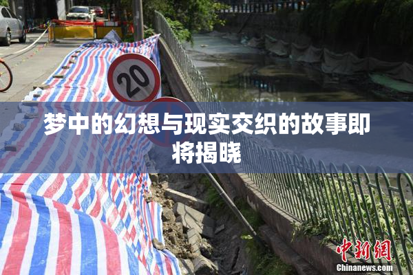 梦中的幻想与现实交织的故事即将揭晓