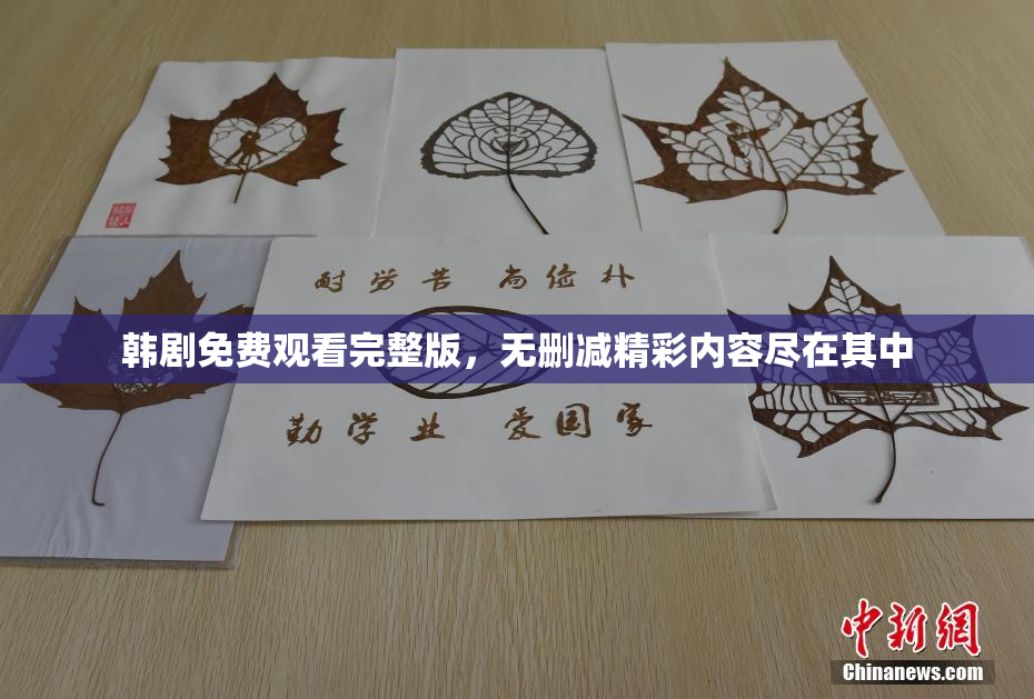 韩剧免费观看完整版，无删减精彩内容尽在其中
