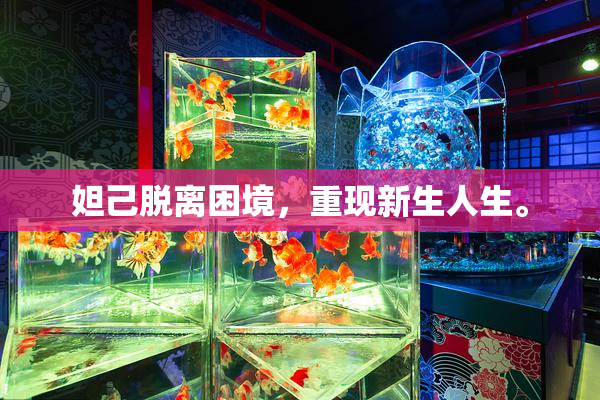 妲己脱离困境，重现新生人生。
