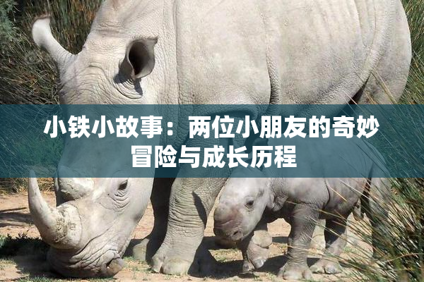 小铁小故事：两位小朋友的奇妙冒险与成长历程
