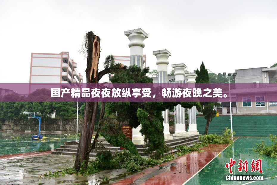 国产精品夜夜放纵享受，畅游夜晚之美。