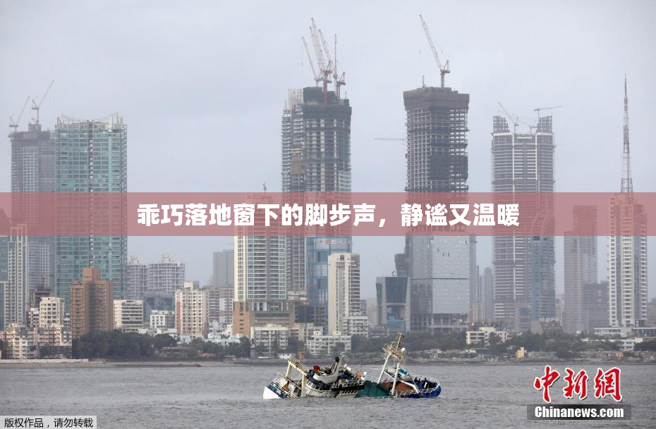 乖巧落地窗下的脚步声，静谧又温暖