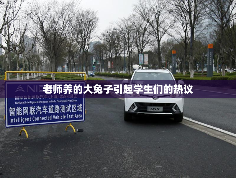 老师养的大兔子引起学生们的热议