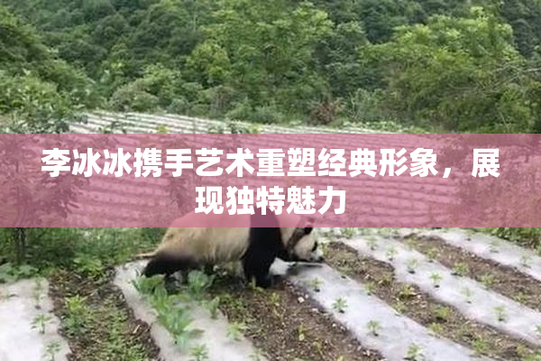 李冰冰携手艺术重塑经典形象，展现独特魅力