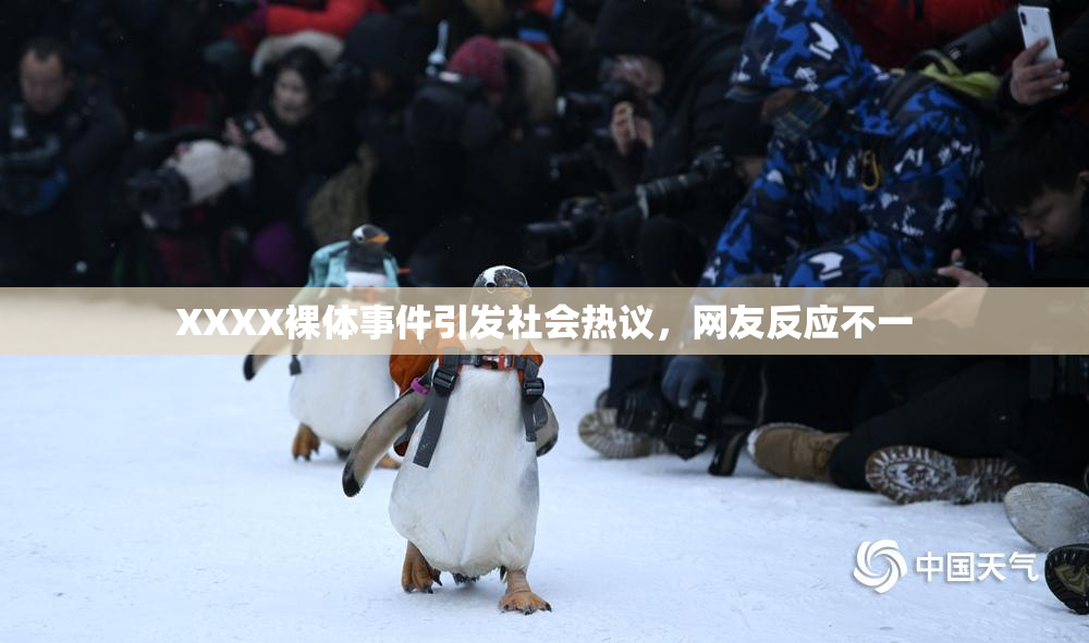 XXXX裸体事件引发社会热议，网友反应不一