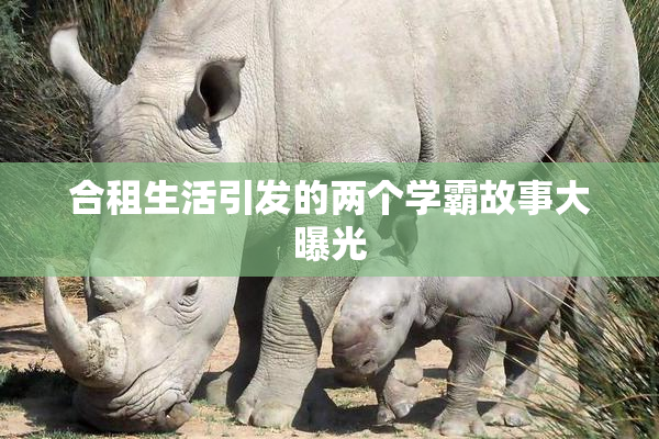 合租生活引发的两个学霸故事大曝光