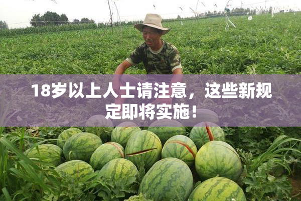 18岁以上人士请注意，这些新规定即将实施！