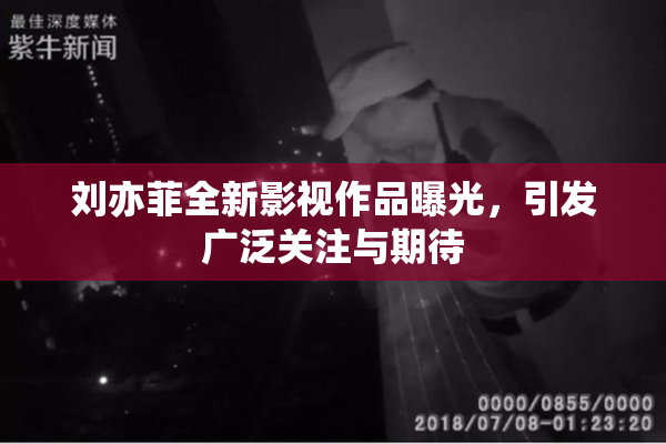 刘亦菲全新影视作品曝光，引发广泛关注与期待
