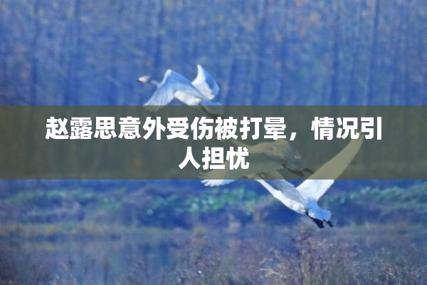 赵露思意外受伤被打晕，情况引人担忧