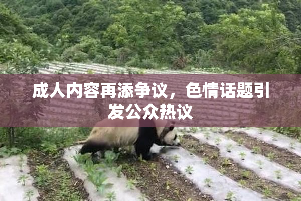 成人内容再添争议，色情话题引发公众热议