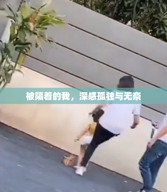 被隔着的我，深感孤独与无奈