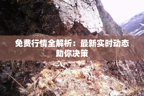 免费行情全解析：最新实时动态助你决策