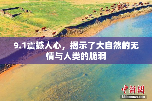 9.1震撼人心，揭示了大自然的无情与人类的脆弱