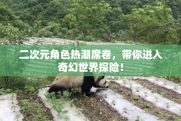 二次元角色热潮席卷，带你进入奇幻世界探险！