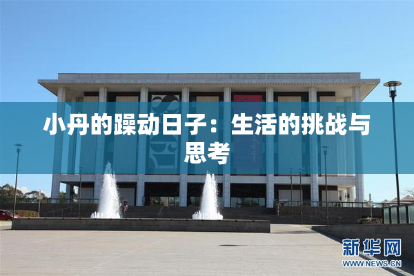 小丹的躁动日子：生活的挑战与思考