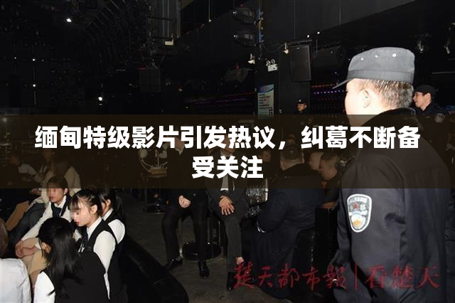 缅甸特级影片引发热议，纠葛不断备受关注