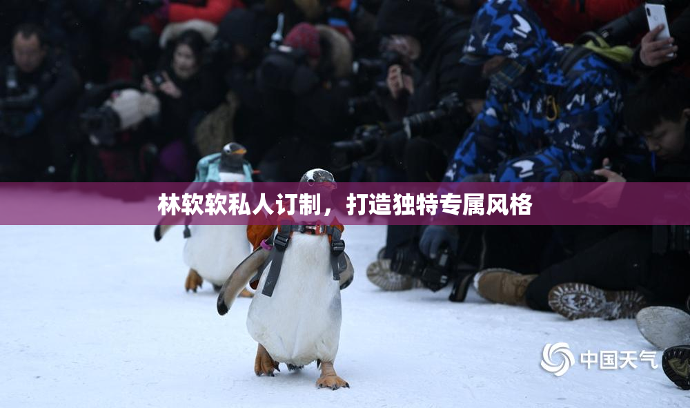 林软软私人订制，打造独特专属风格