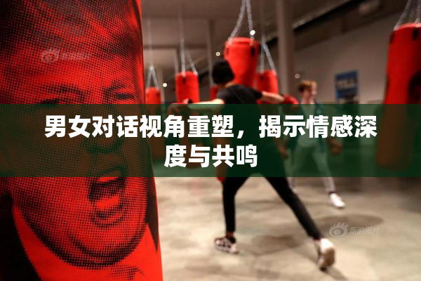 男女对话视角重塑，揭示情感深度与共鸣