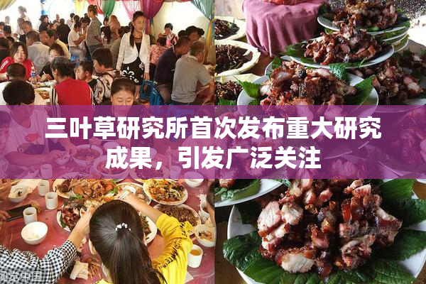 三叶草研究所首次发布重大研究成果，引发广泛关注