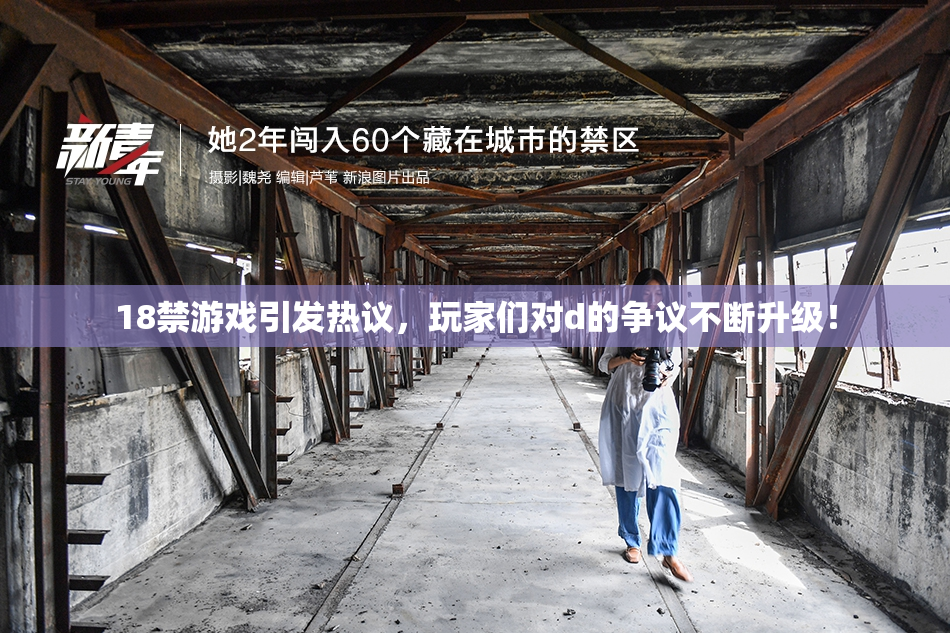 18禁游戏引发热议，玩家们对d的争议不断升级！