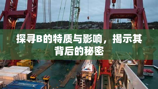 探寻B的特质与影响，揭示其背后的秘密