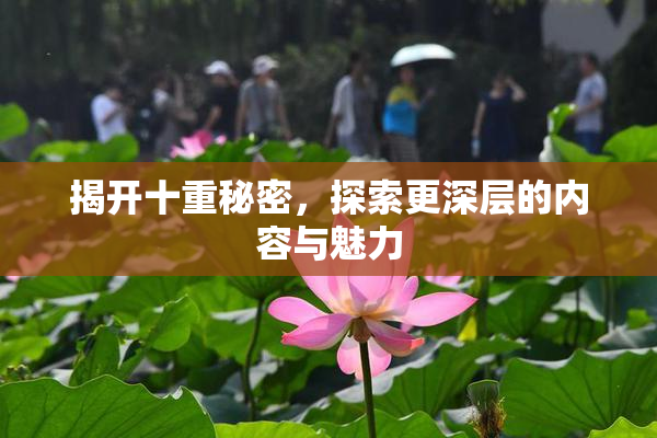 揭开十重秘密，探索更深层的内容与魅力