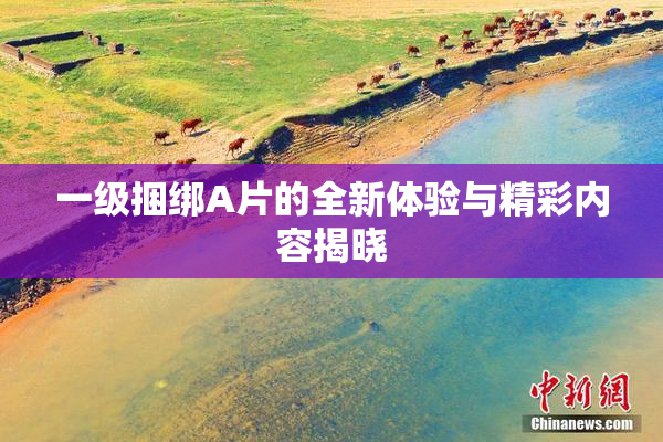 一级捆绑A片的全新体验与精彩内容揭晓