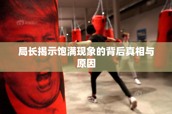 局长揭示饱满现象的背后真相与原因