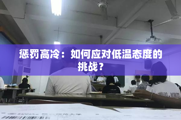 惩罚高冷：如何应对低温态度的挑战？