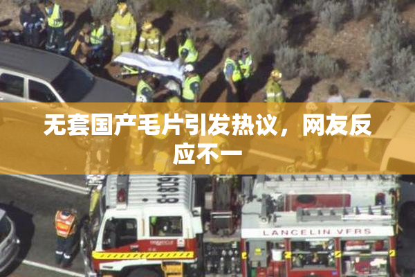 无套国产毛片引发热议，网友反应不一