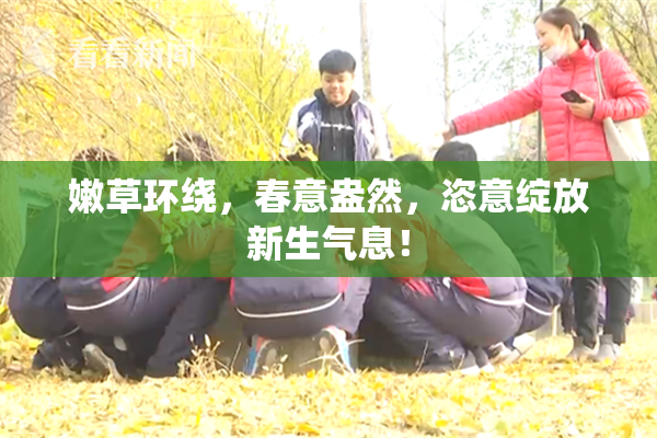 嫩草环绕，春意盎然，恣意绽放新生气息！