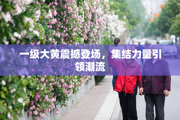 一级大黄震撼登场，集结力量引领潮流