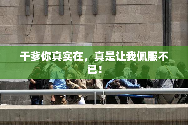 干爹你真实在，真是让我佩服不已！