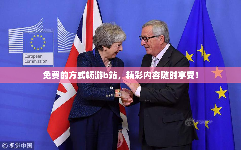 免费的方式畅游b站，精彩内容随时享受！