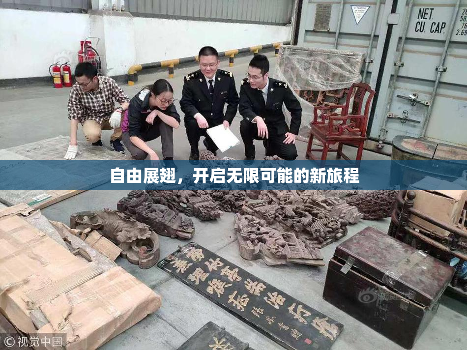 自由展翅，开启无限可能的新旅程