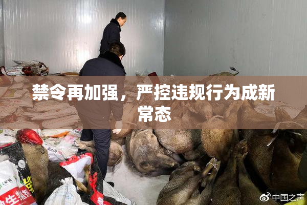 禁令再加强，严控违规行为成新常态