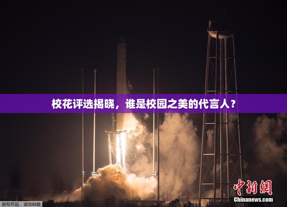 校花评选揭晓，谁是校园之美的代言人？