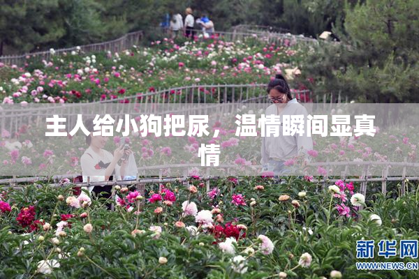 主人给小狗把尿，温情瞬间显真情