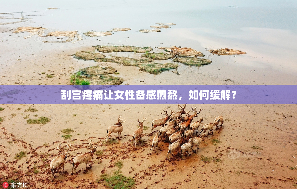 刮宫疼痛让女性备感煎熬，如何缓解？
