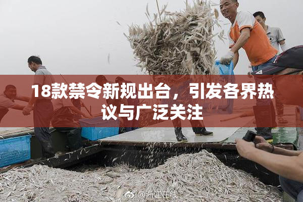 18款禁令新规出台，引发各界热议与广泛关注
