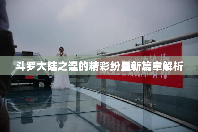 斗罗大陆之涅的精彩纷呈新篇章解析