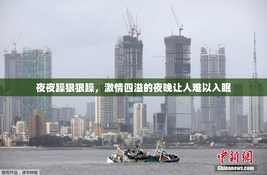 夜夜躁狠狠躁，激情四溢的夜晚让人难以入眠